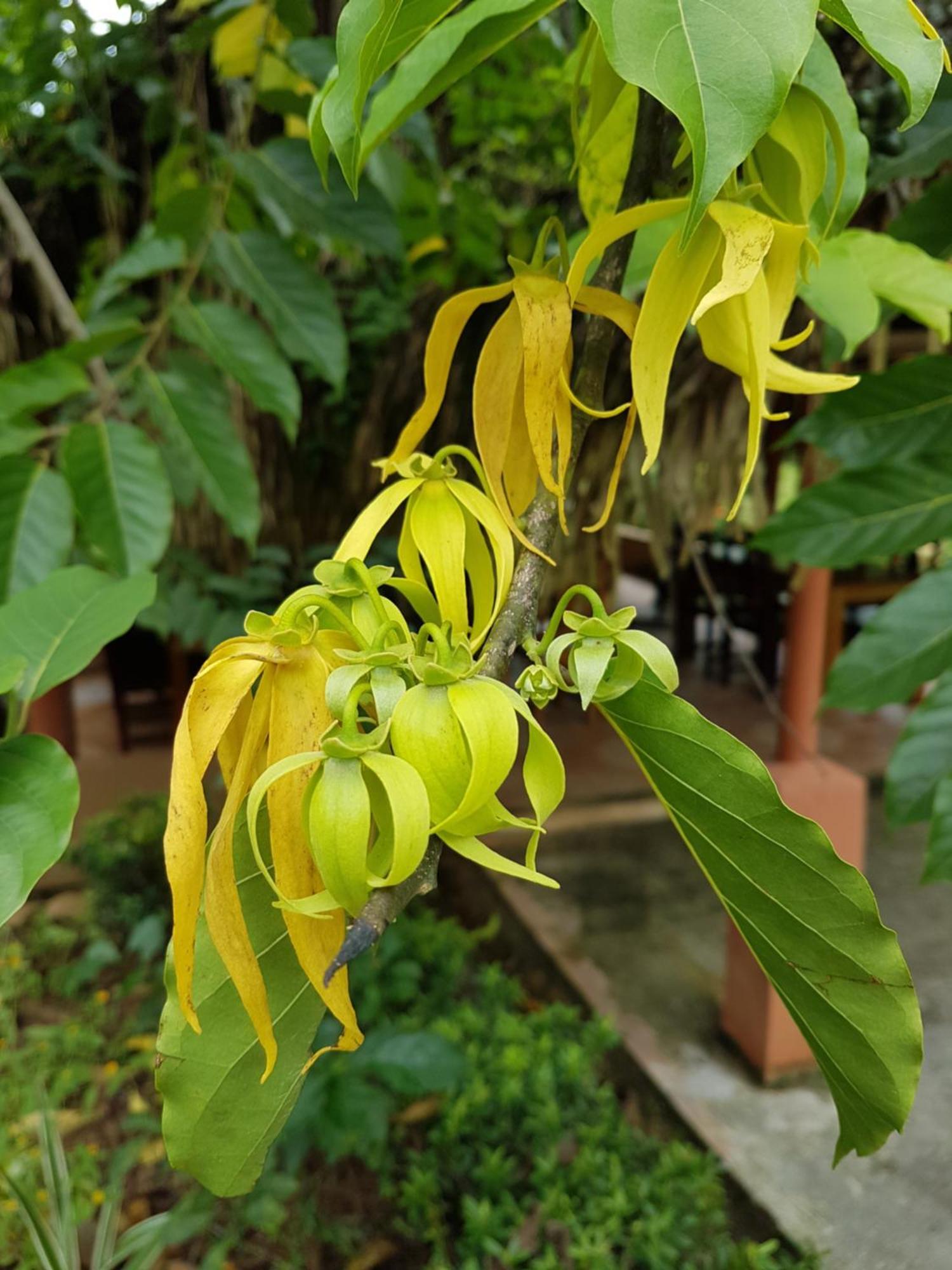 Los Pinos De Torio 外观 照片