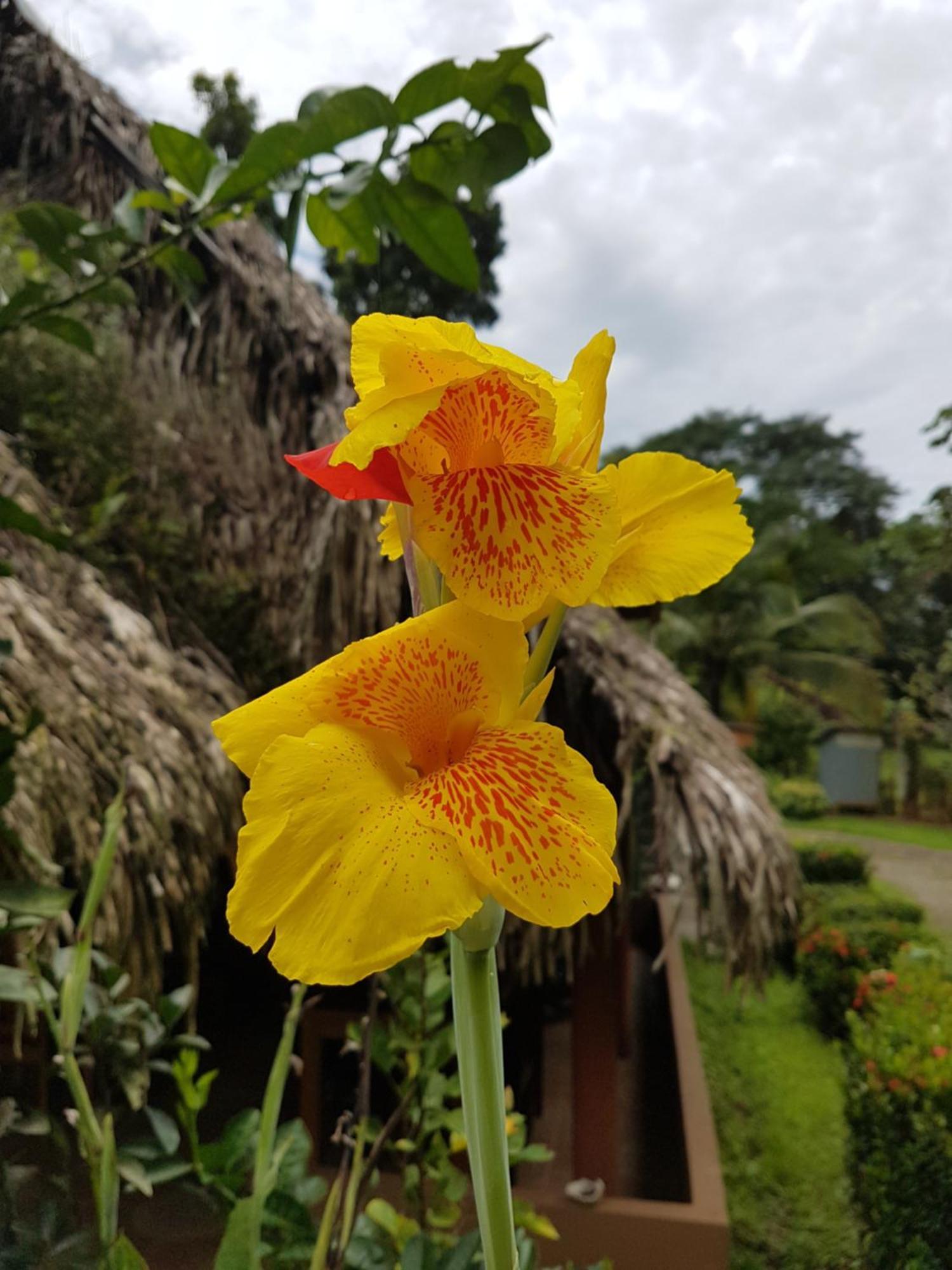 Los Pinos De Torio 外观 照片